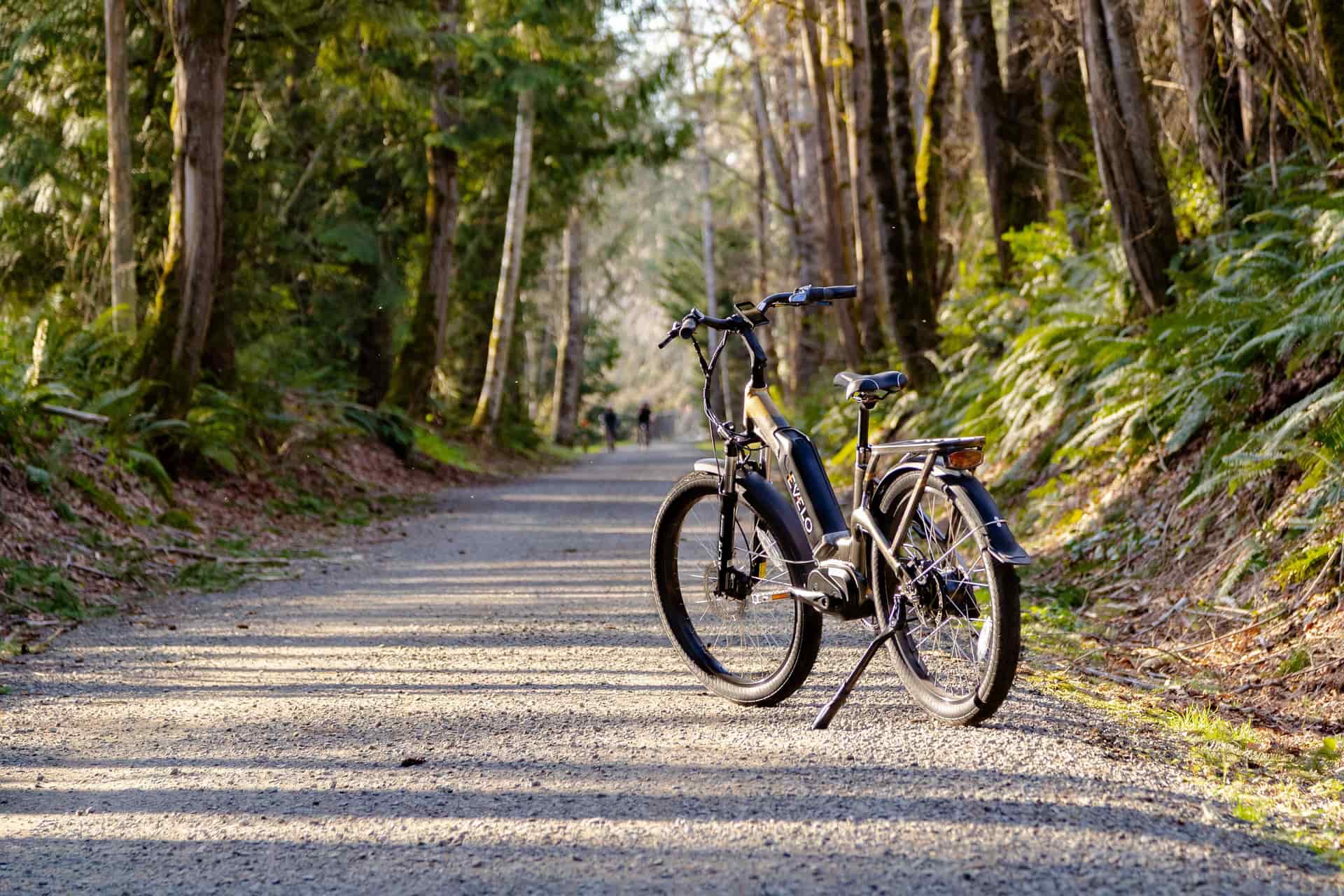 An electric bike on a paved trail through greenery